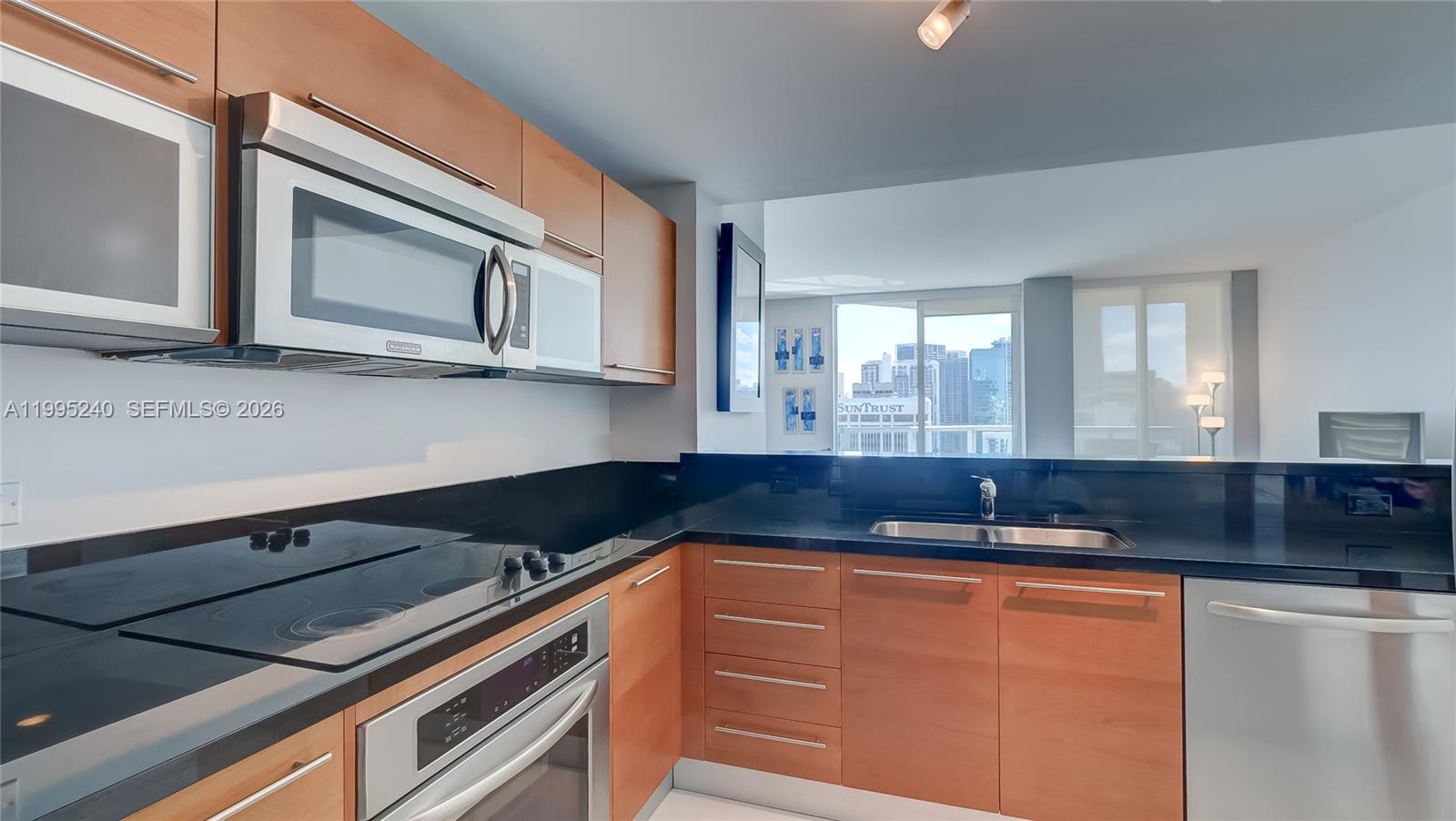 253 NE 2nd St #3509 Miami, FL 33132