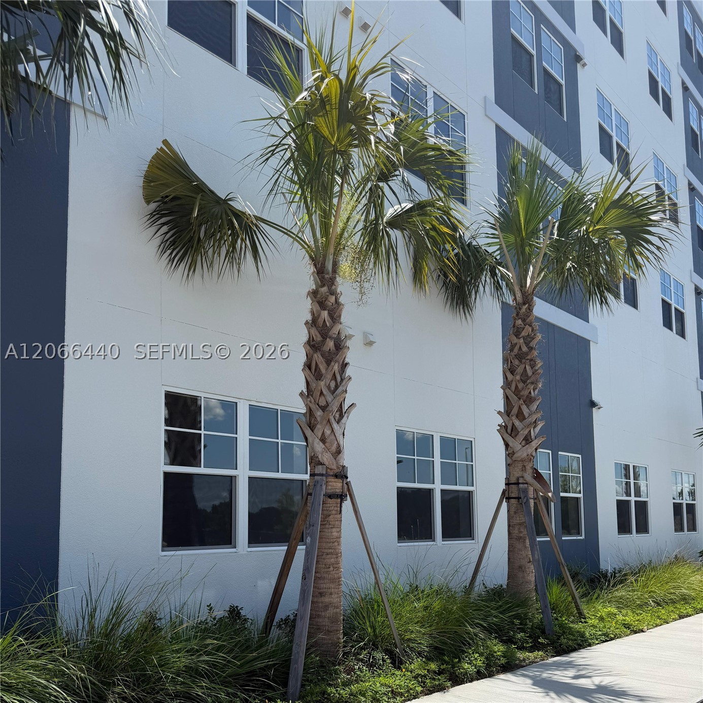5563 Millenia Park #201 Orlando, FL 32839