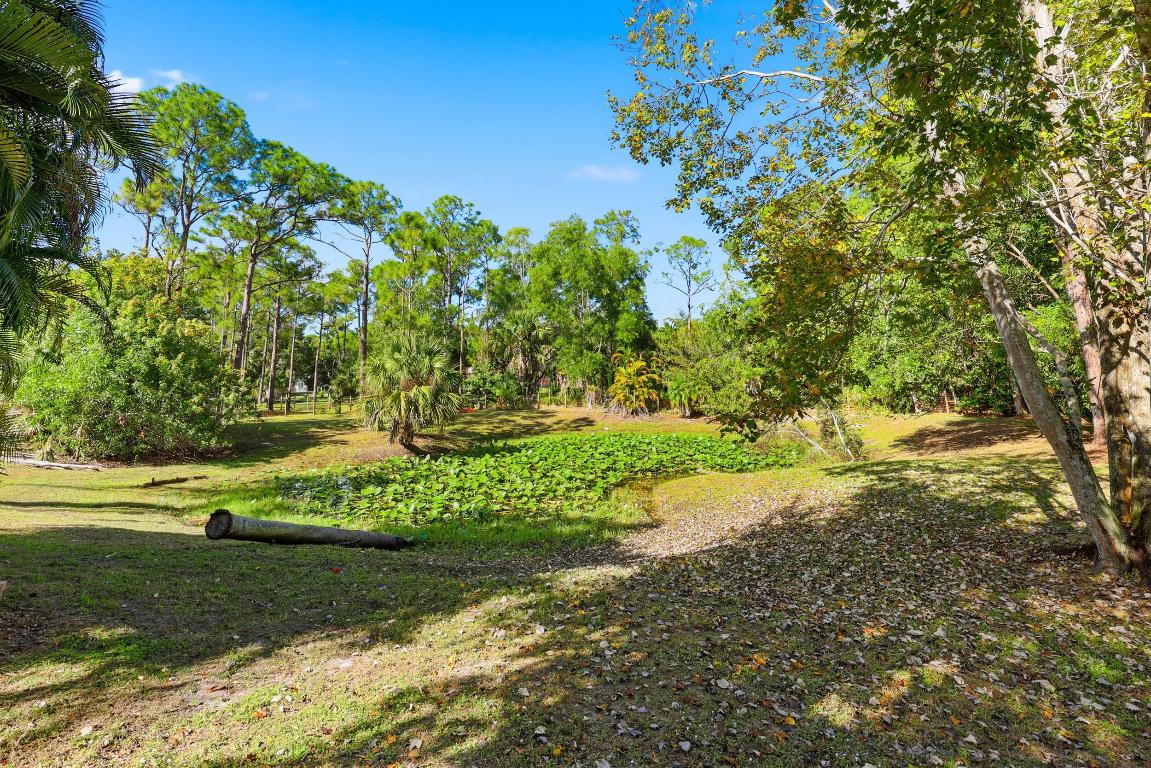 10297 Sandy Jupiter, FL 33478