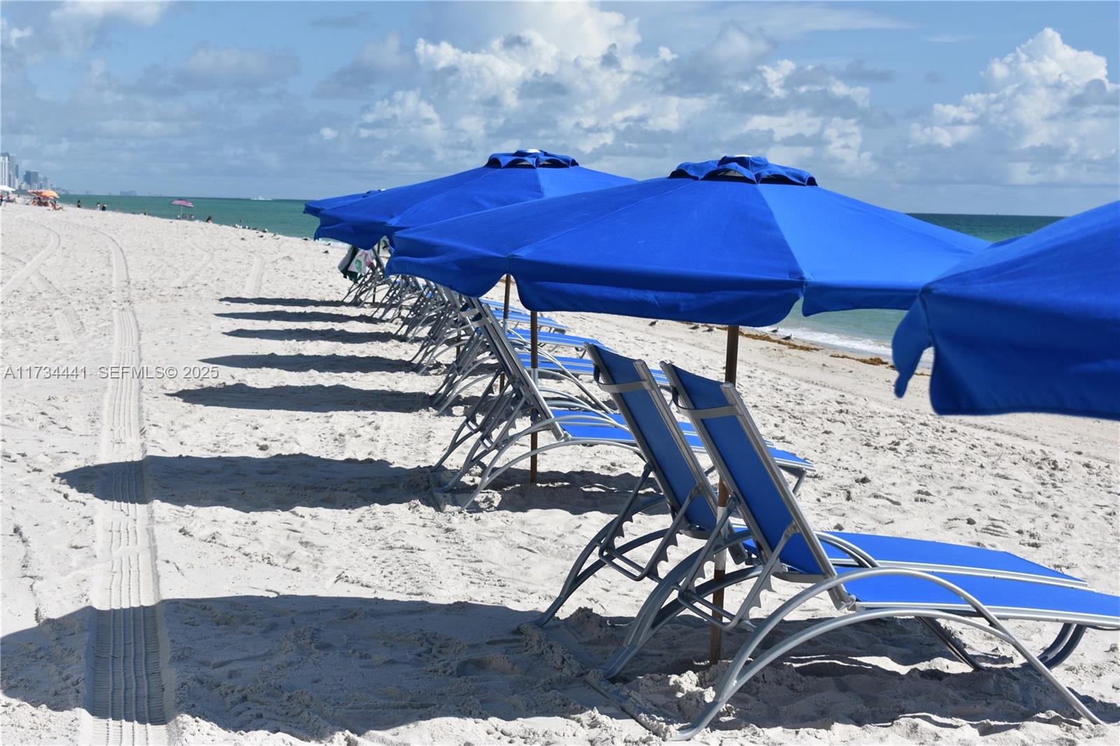 6365 Collins Ave #1901 Miami Beach, FL 33141