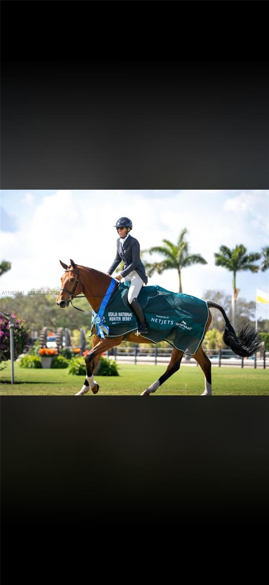 2625 SW 148th Ave Davie, FL 33331