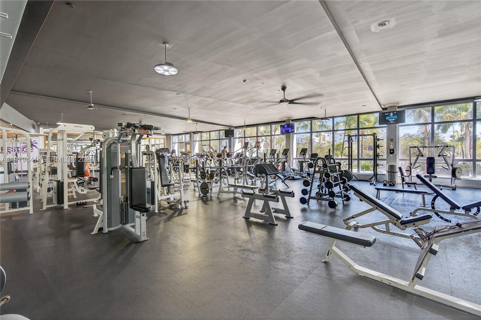 1000 West Ave #923 Miami Beach, FL 33139