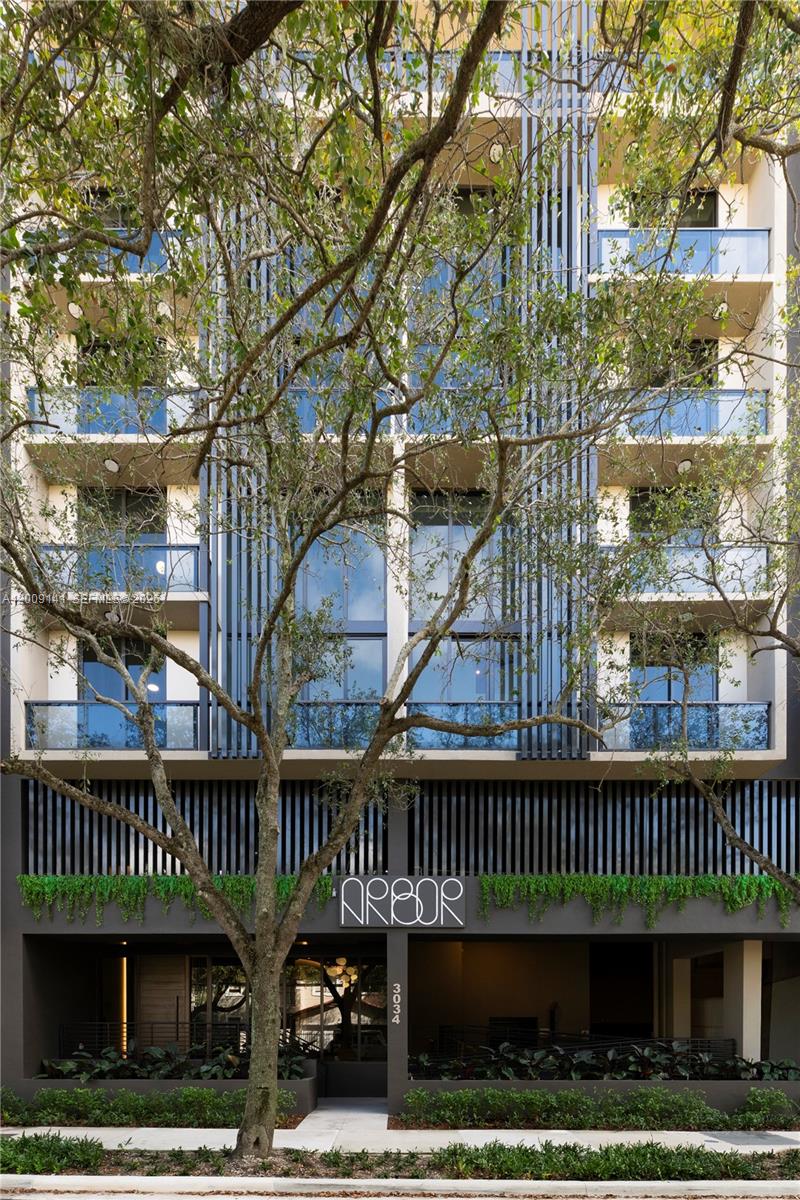 image Arbor Coconut Grove0