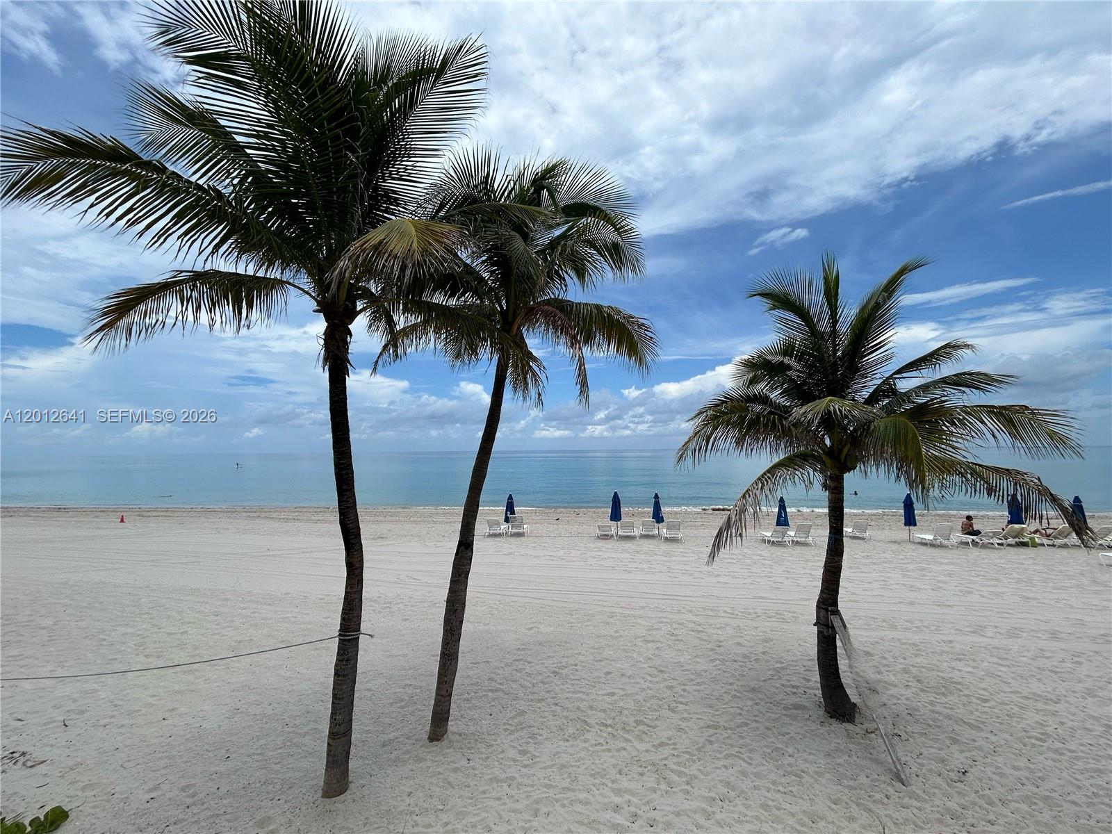 2030 S Ocean Dr #309 Hallandale Beach, FL 33009