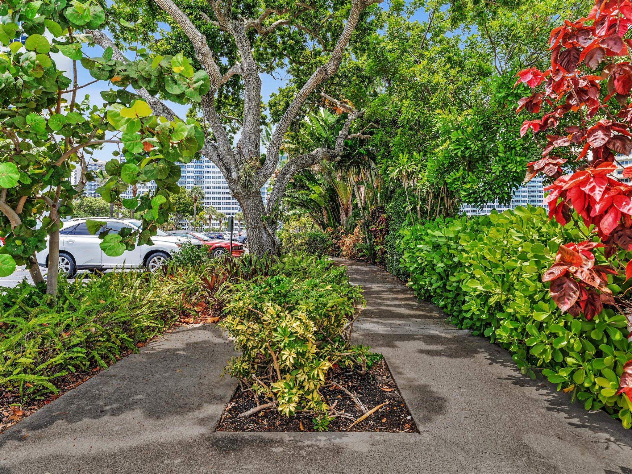 3300 NE 36th #308 Fort Lauderdale, FL 33308