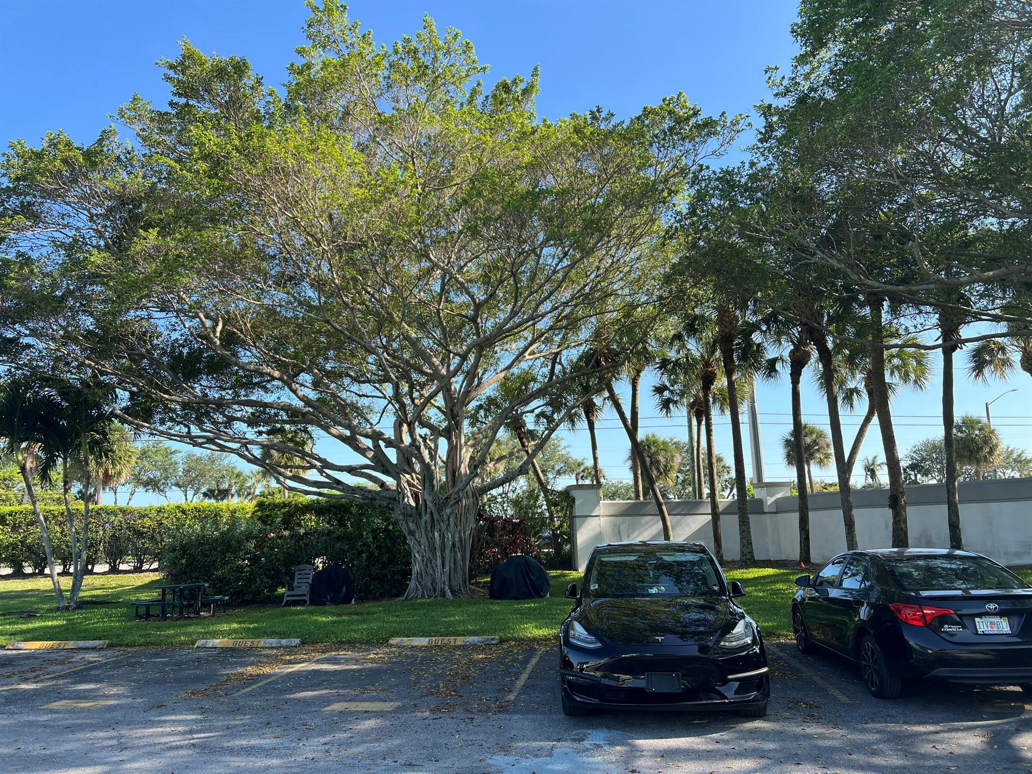 267 Flanders F,Delray Beach, FL 33484