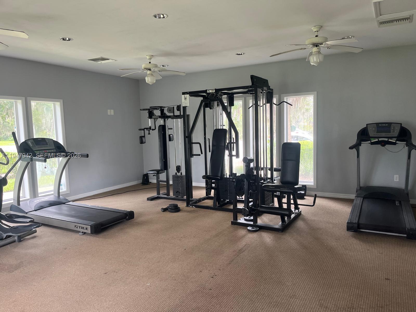 6519 Newberry Rd #310 Gainesville, FL 32607