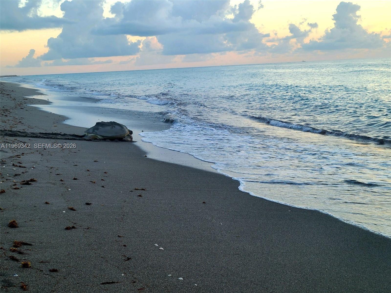 300 Ocean Trl Way #1008 Jupiter, FL 33477