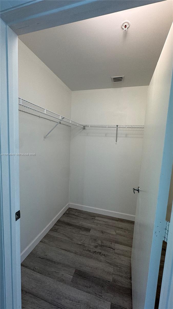 image Quantum on the Bay28