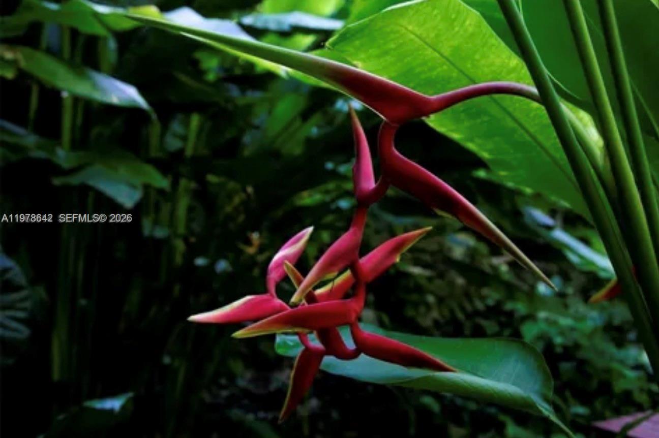 4895 SW 88th St #00 Miami, FL 33156