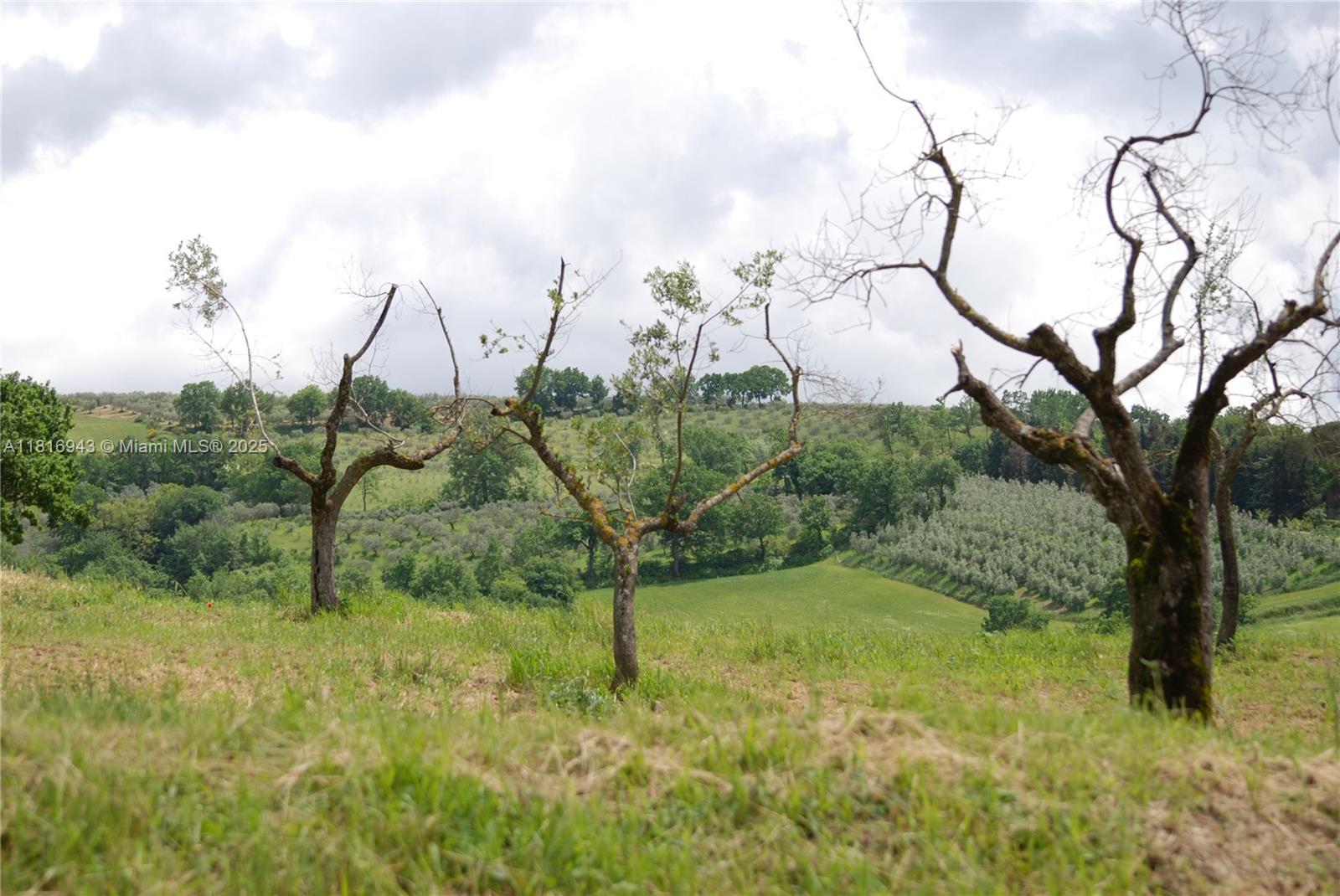 Assisi Frazione S Gregorio 