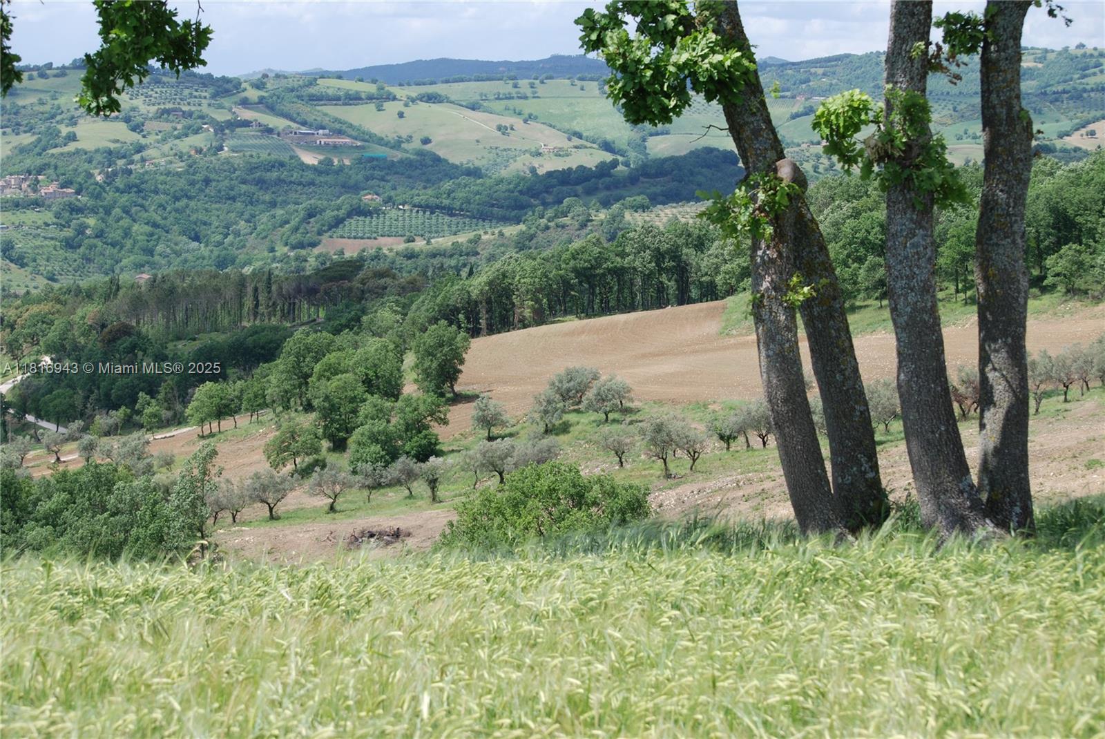 Assisi Frazione S Gregorio 
