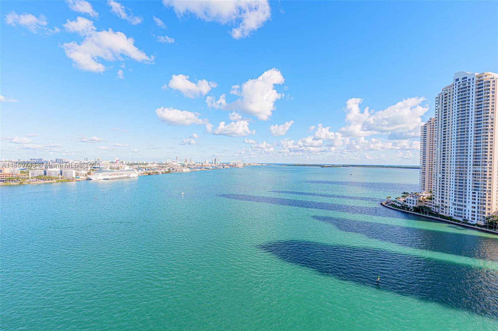335 S Biscayne Blvd #2009
