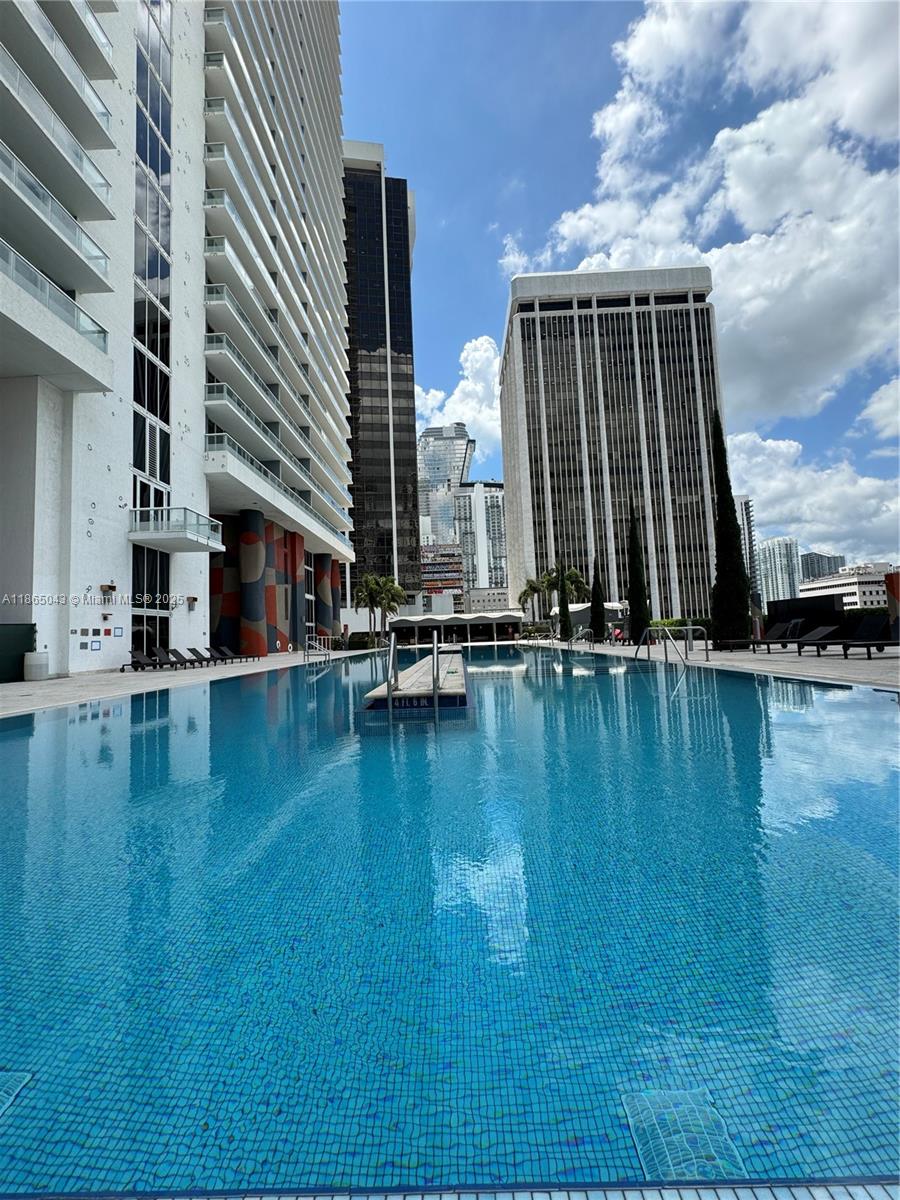 image 50 Biscayne33