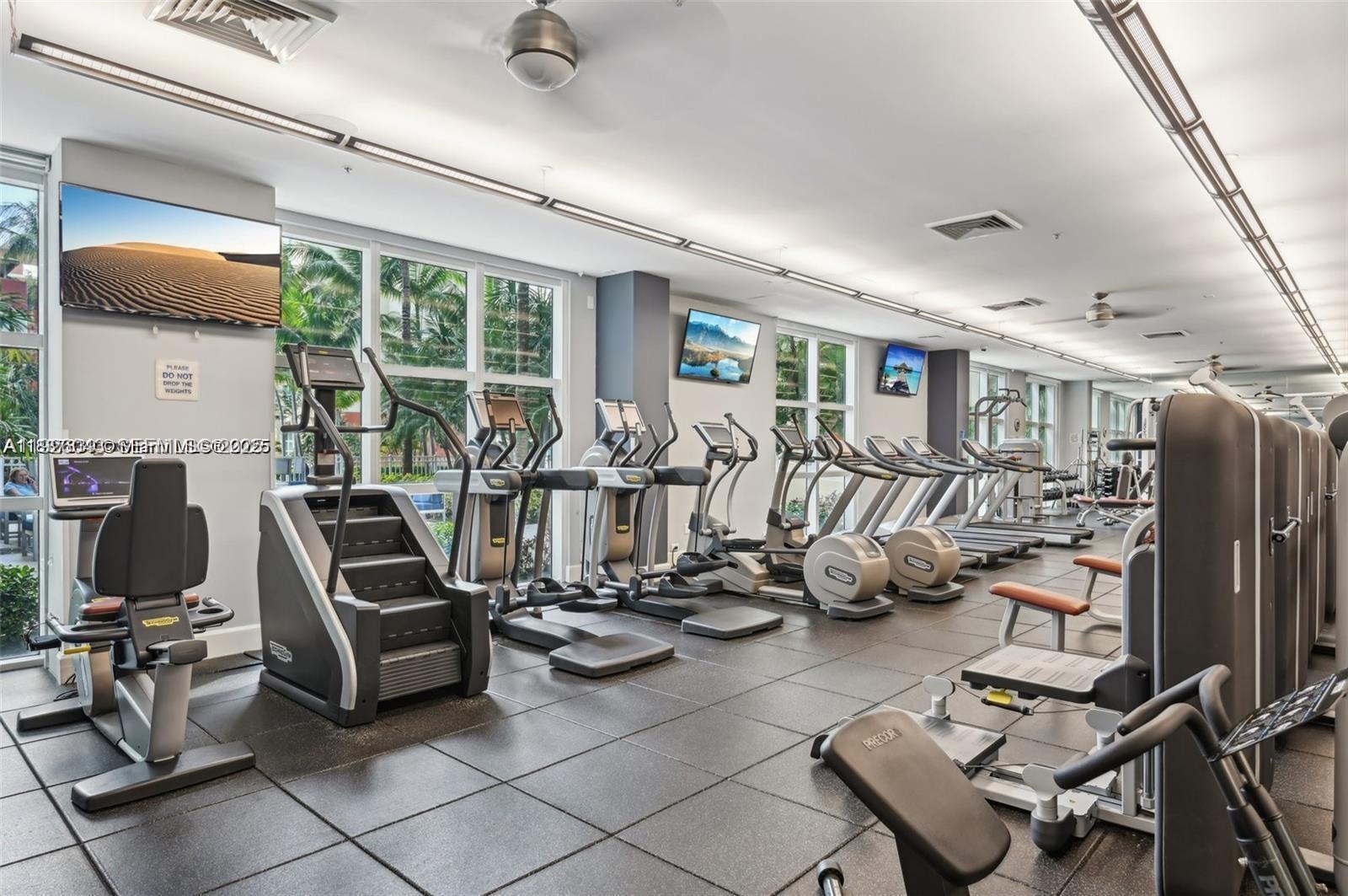 image Cite on the Bay East11