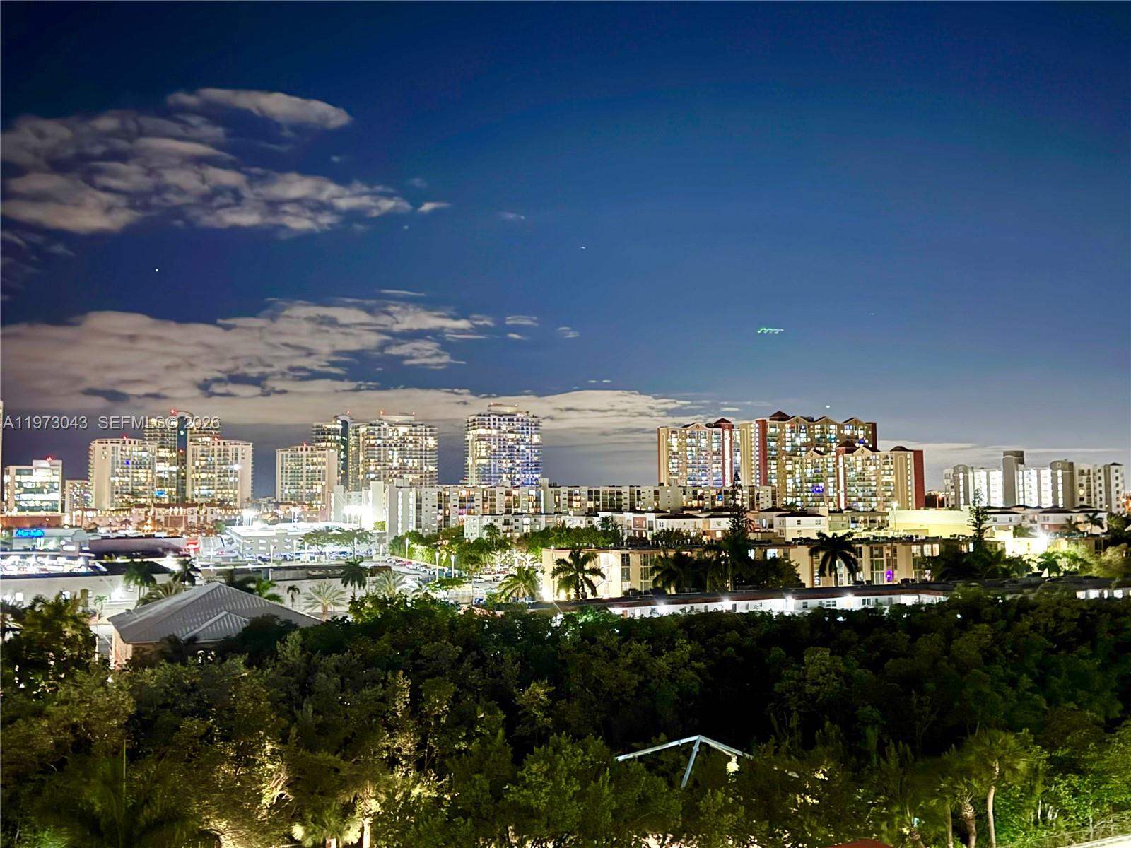 210 174th St #907 Sunny Isles Beach, FL 33160