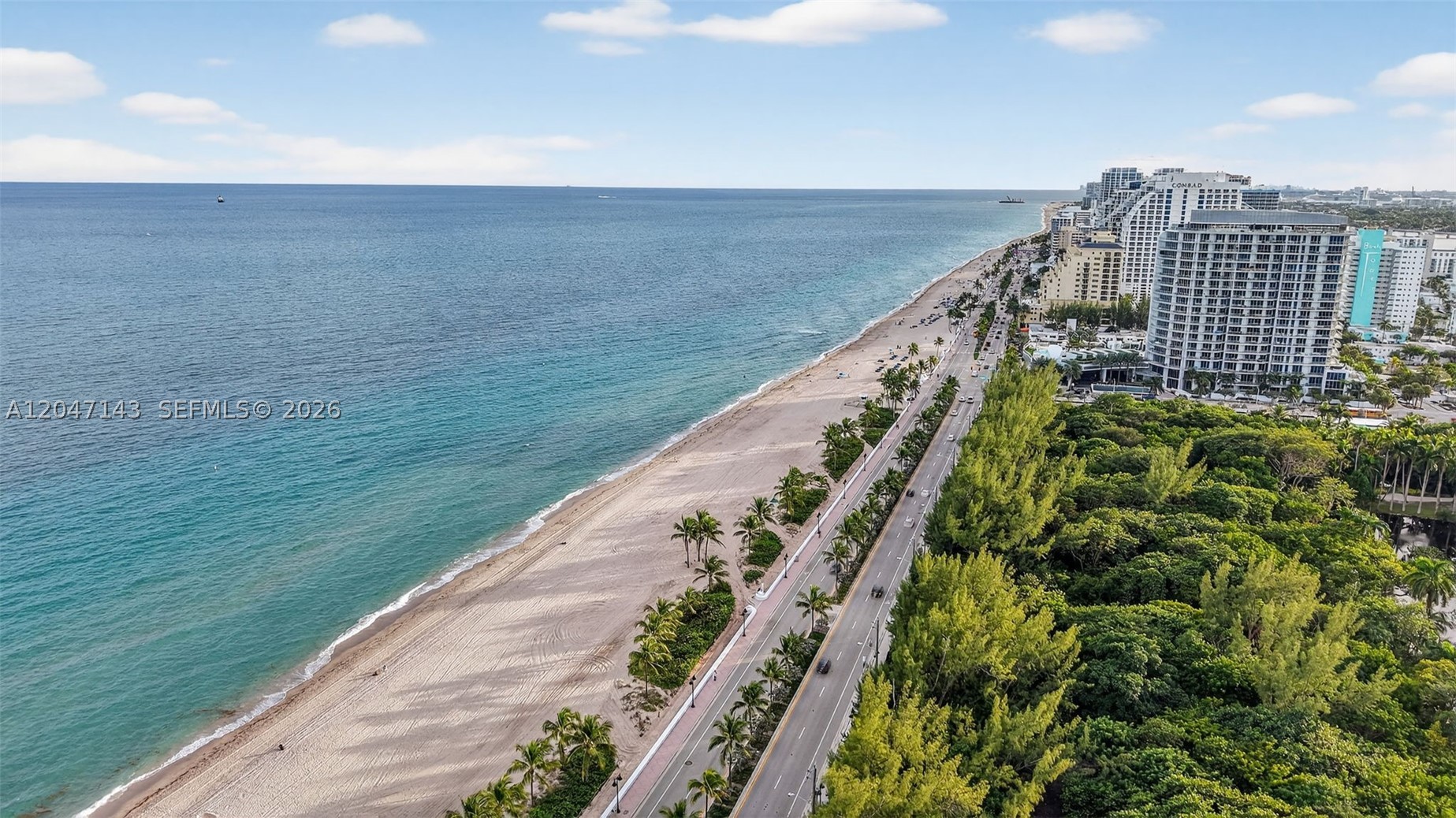 3000 E Sunrise Blvd #14C Fort Lauderdale, FL 33304