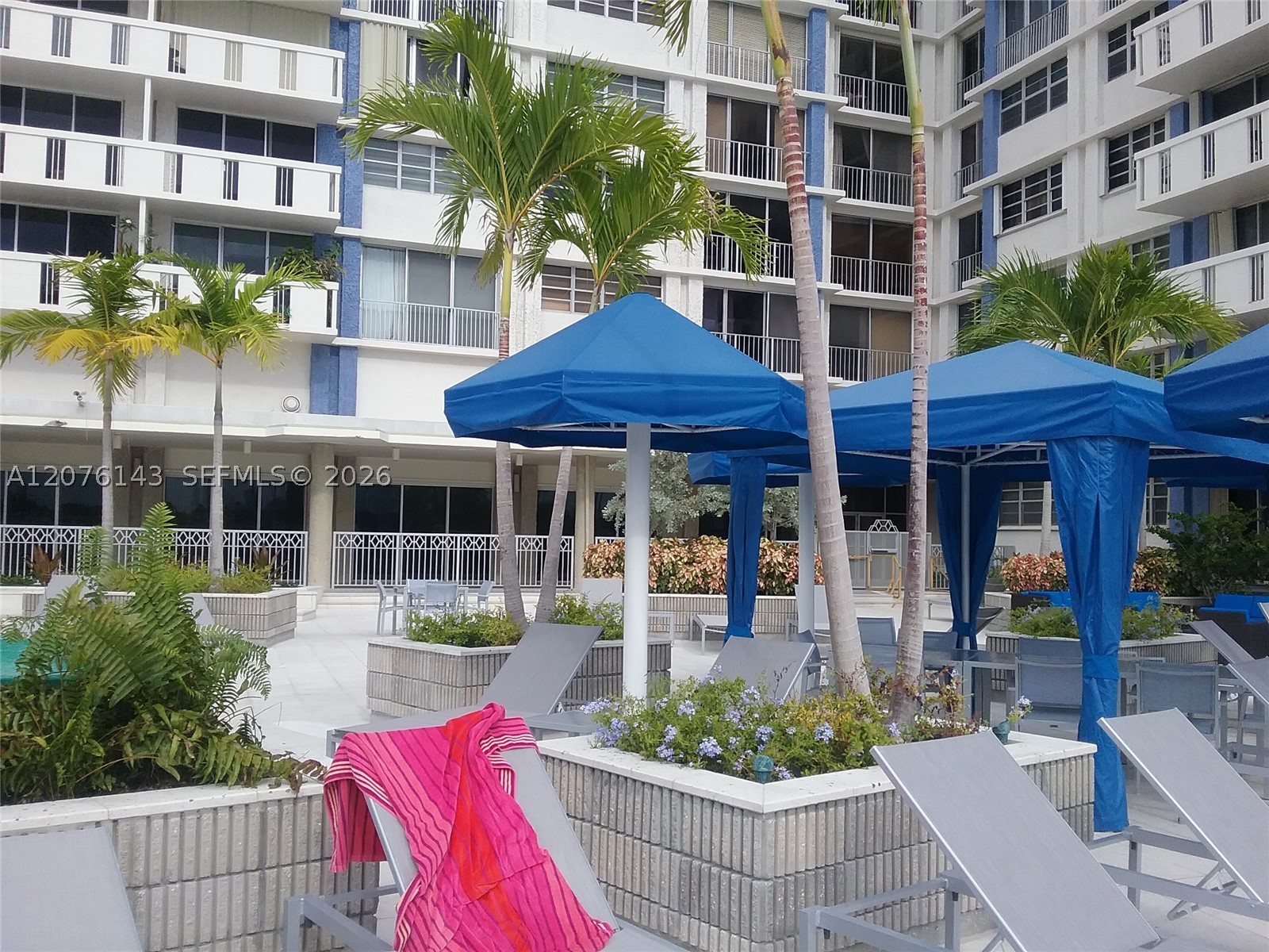 800 West Ave #803