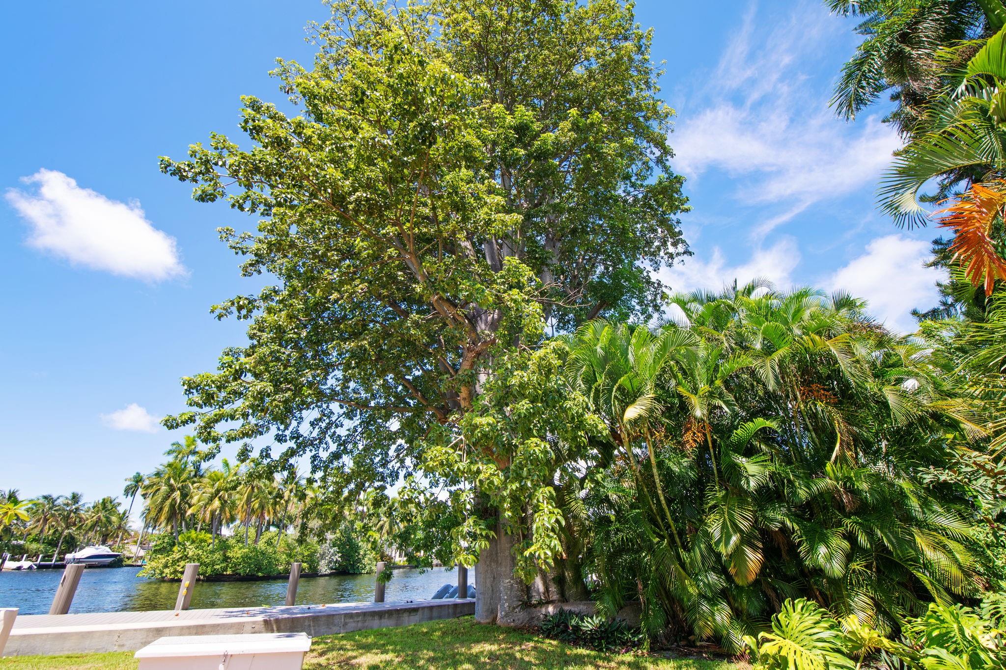 629 SW 8th Ter Fort Lauderdale, FL 33315