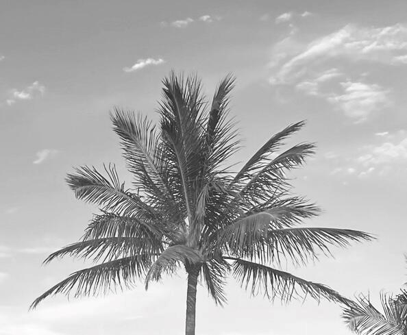 11465 Old Harbour Rd North Palm Beach, FL 33408