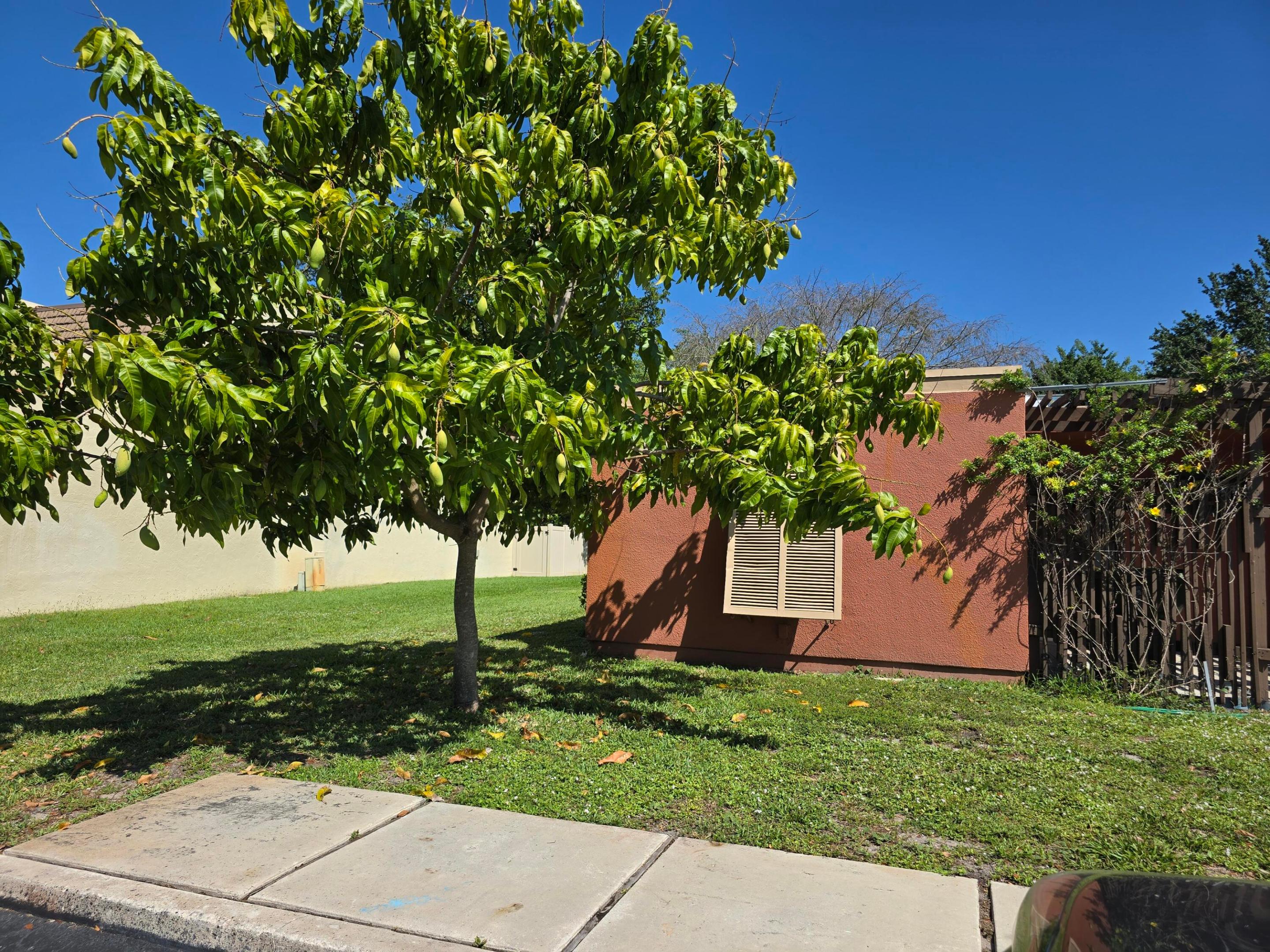 10343 Greenhouse