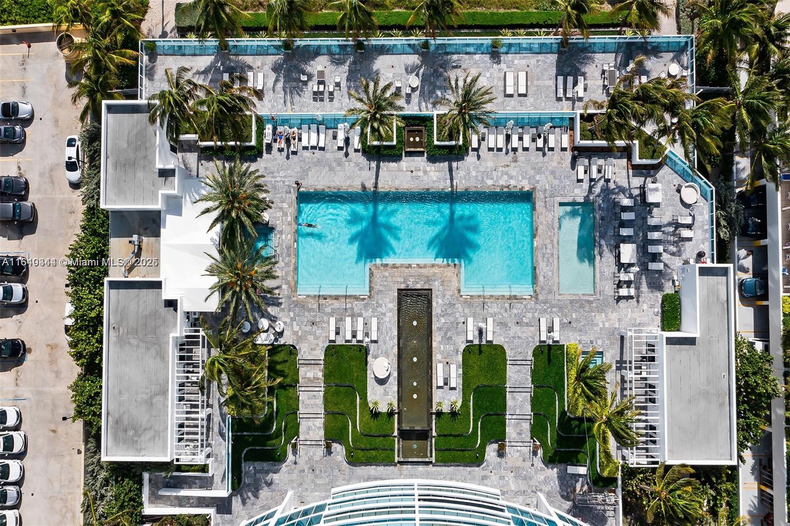 image Trump Hollywood25