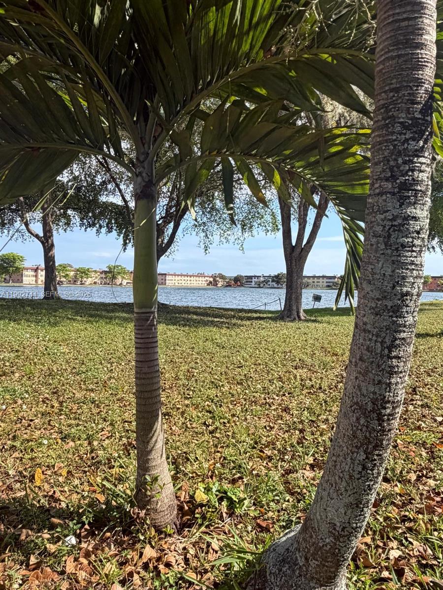 19051 NE 2nd Ave #1503 Miami, FL 33179