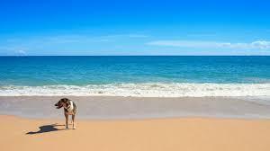 213 Ocean Dunes Cir Jupiter, FL 33477