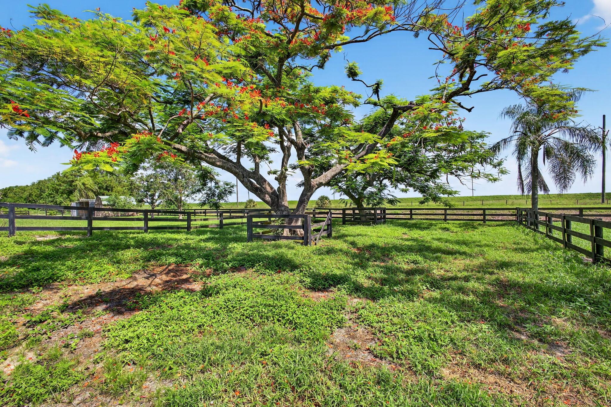 16229 Rustic Rd Rd Wellington, FL 33470 16229 Rustic Rd Rd Wellington, FL 33470