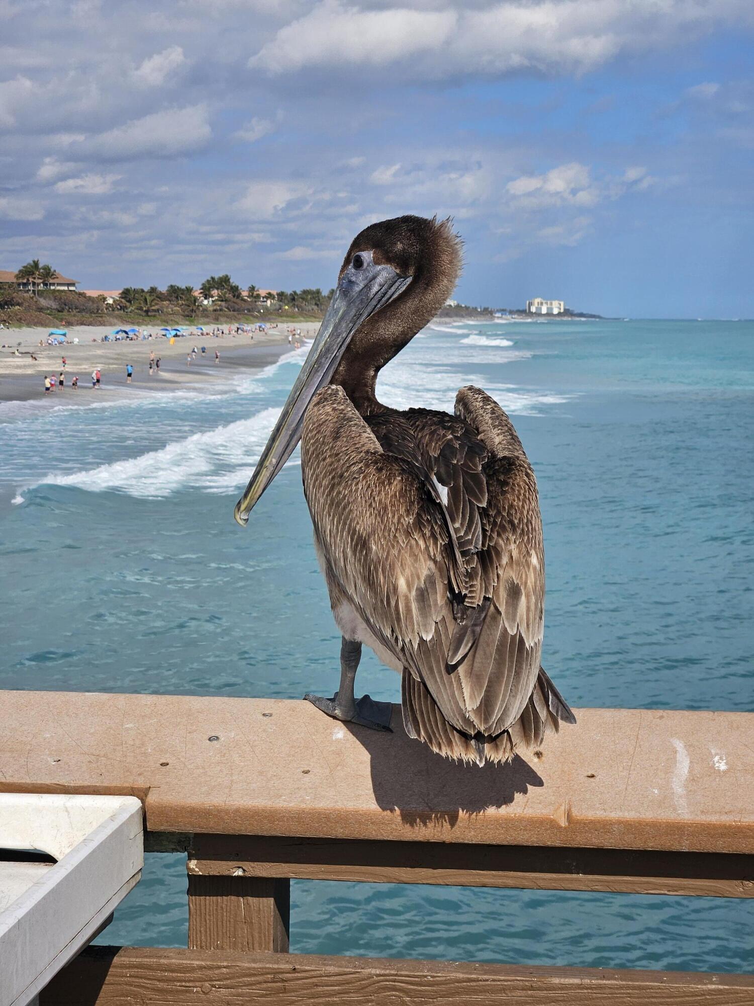 1501 Mizzenmast Jupiter, FL 33477