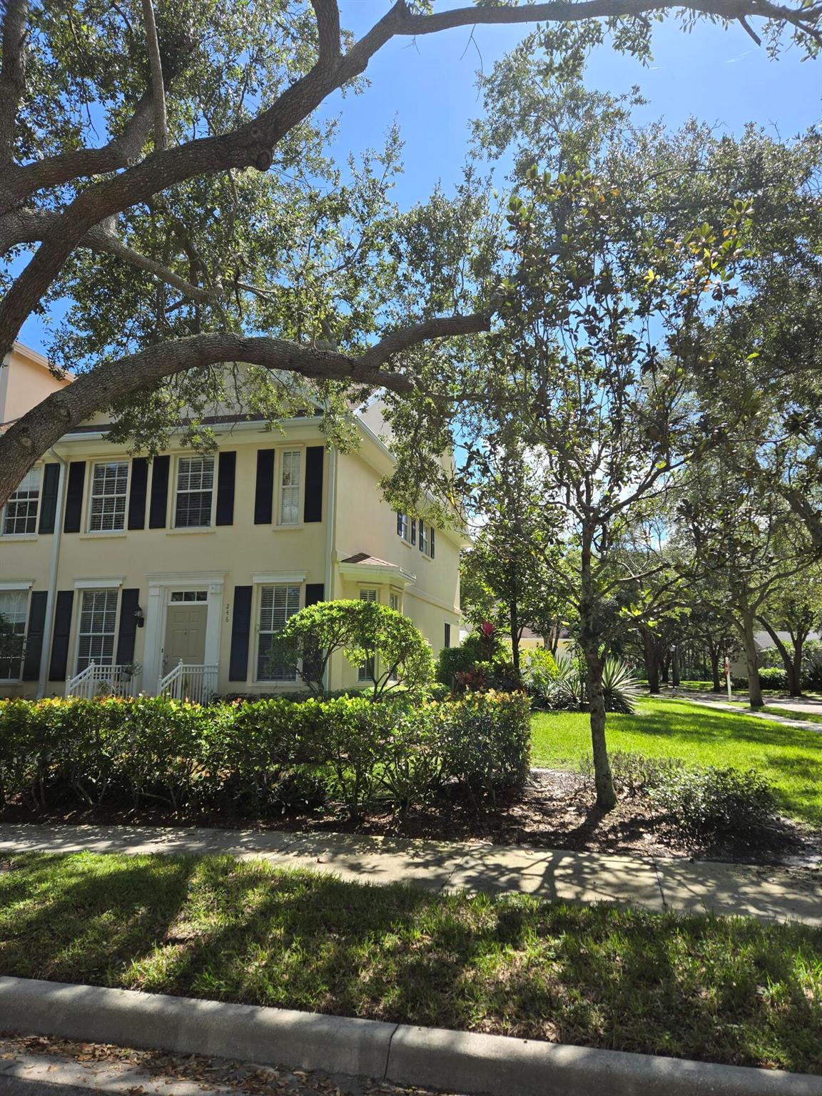 246 Iris Dr
