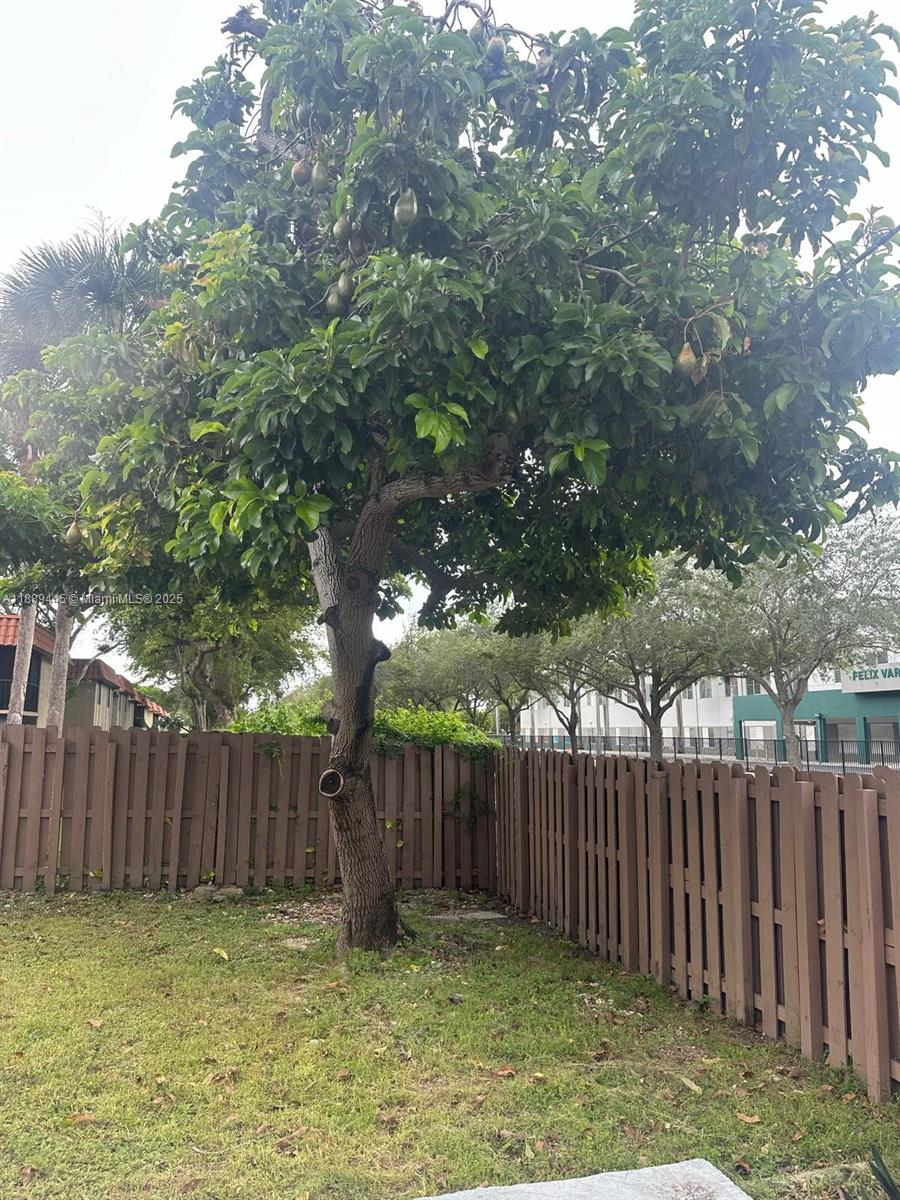 9630 SW 152nd Ave #34 Miami, FL 33196