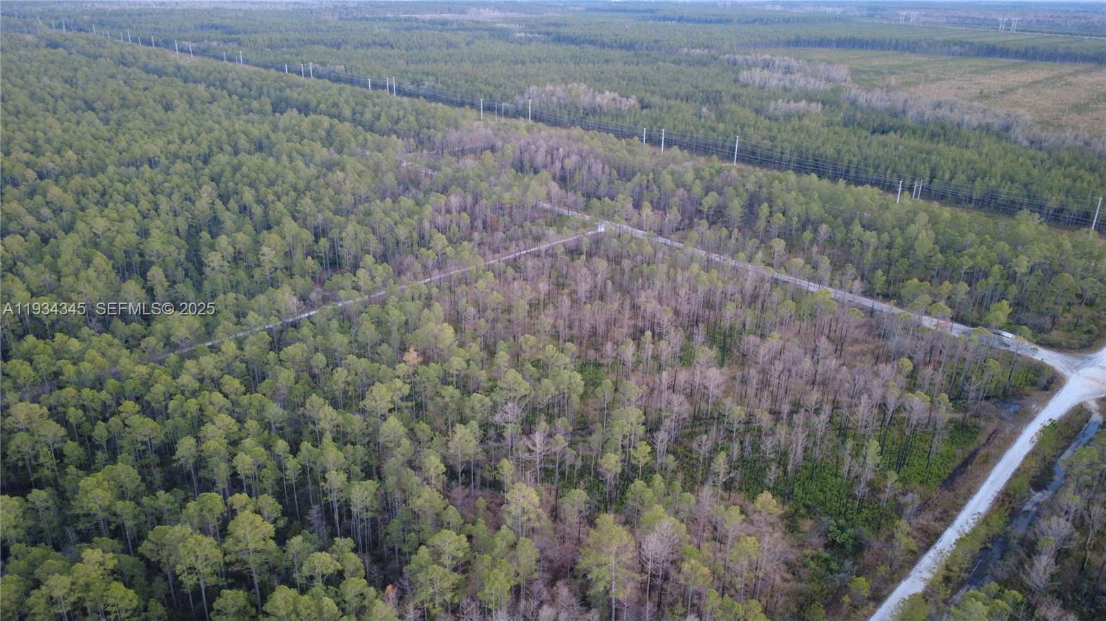 Guzman Ave Other, FL 32145