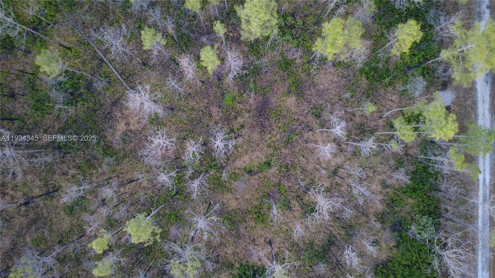 Guzman Ave Other, FL 32145