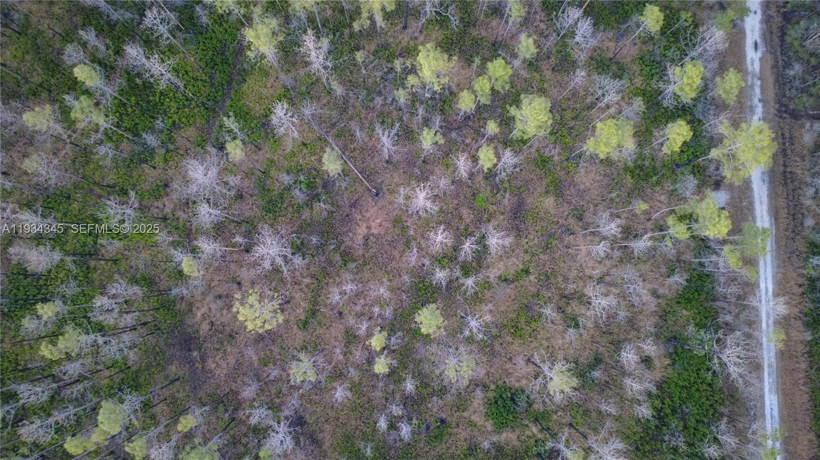 Guzman Ave Other, FL 32145