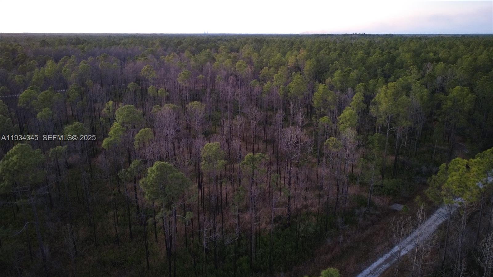 Guzman Ave Other, FL 32145