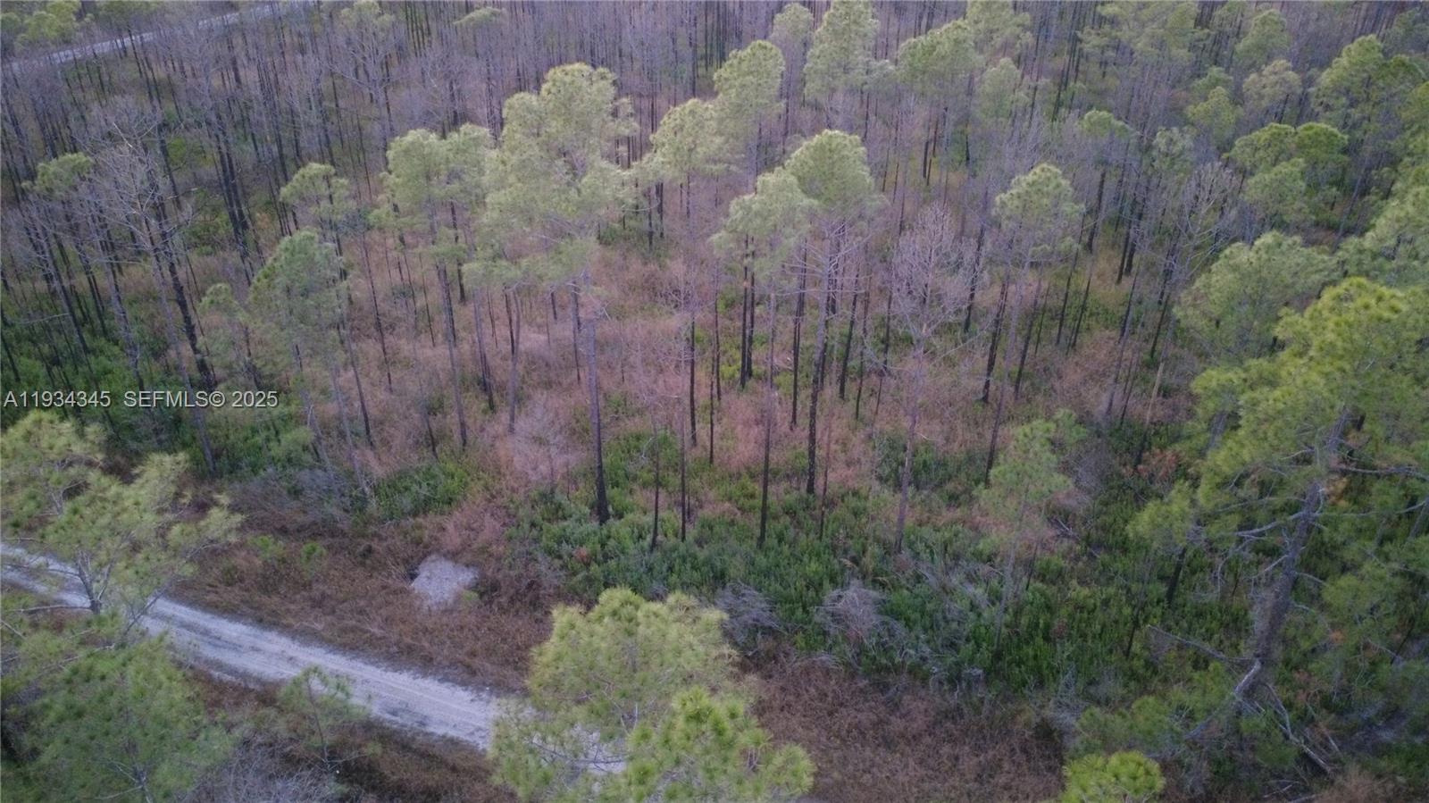 Guzman Ave Other, FL 32145