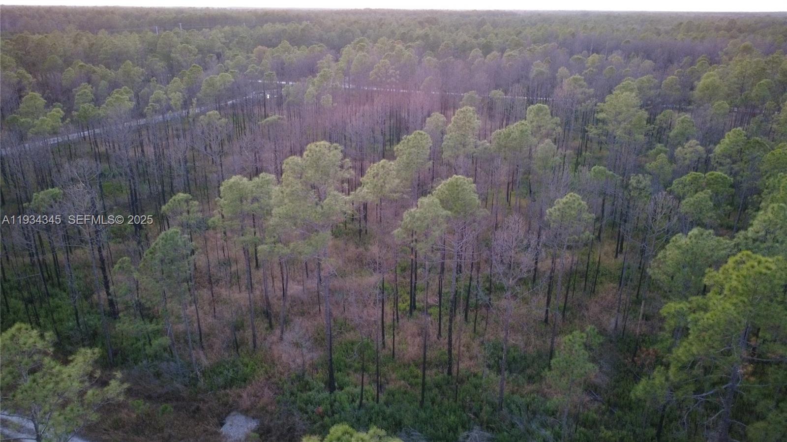 Guzman Ave Other, FL 32145