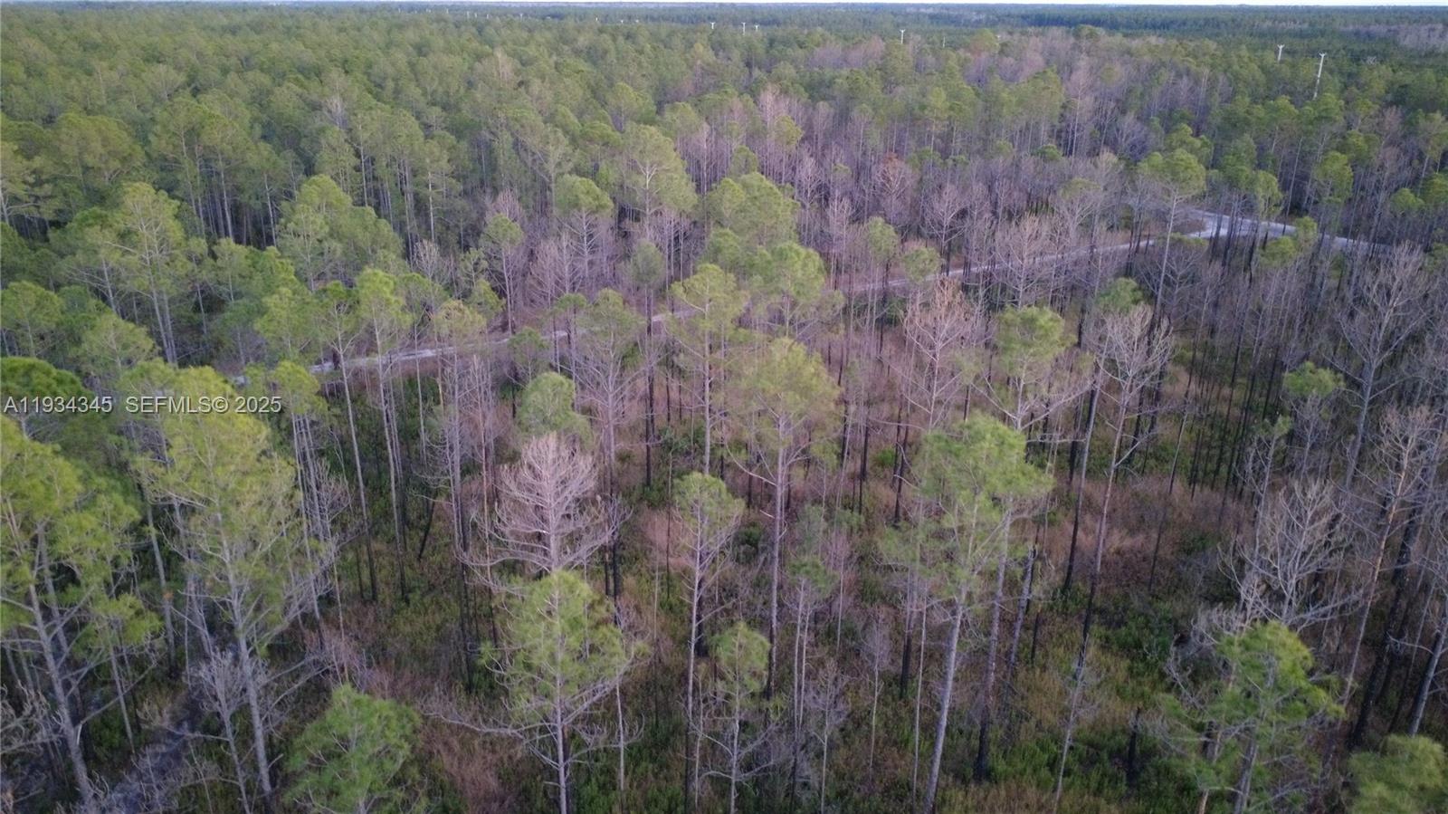 Guzman Ave Other, FL 32145