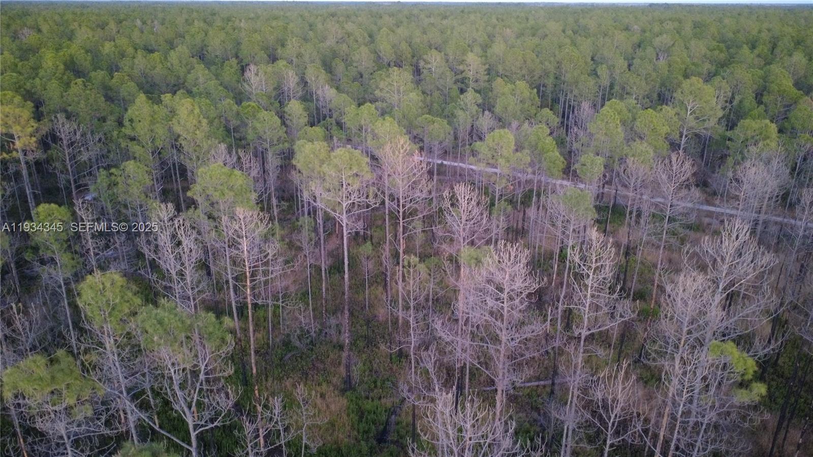 Guzman Ave Other, FL 32145