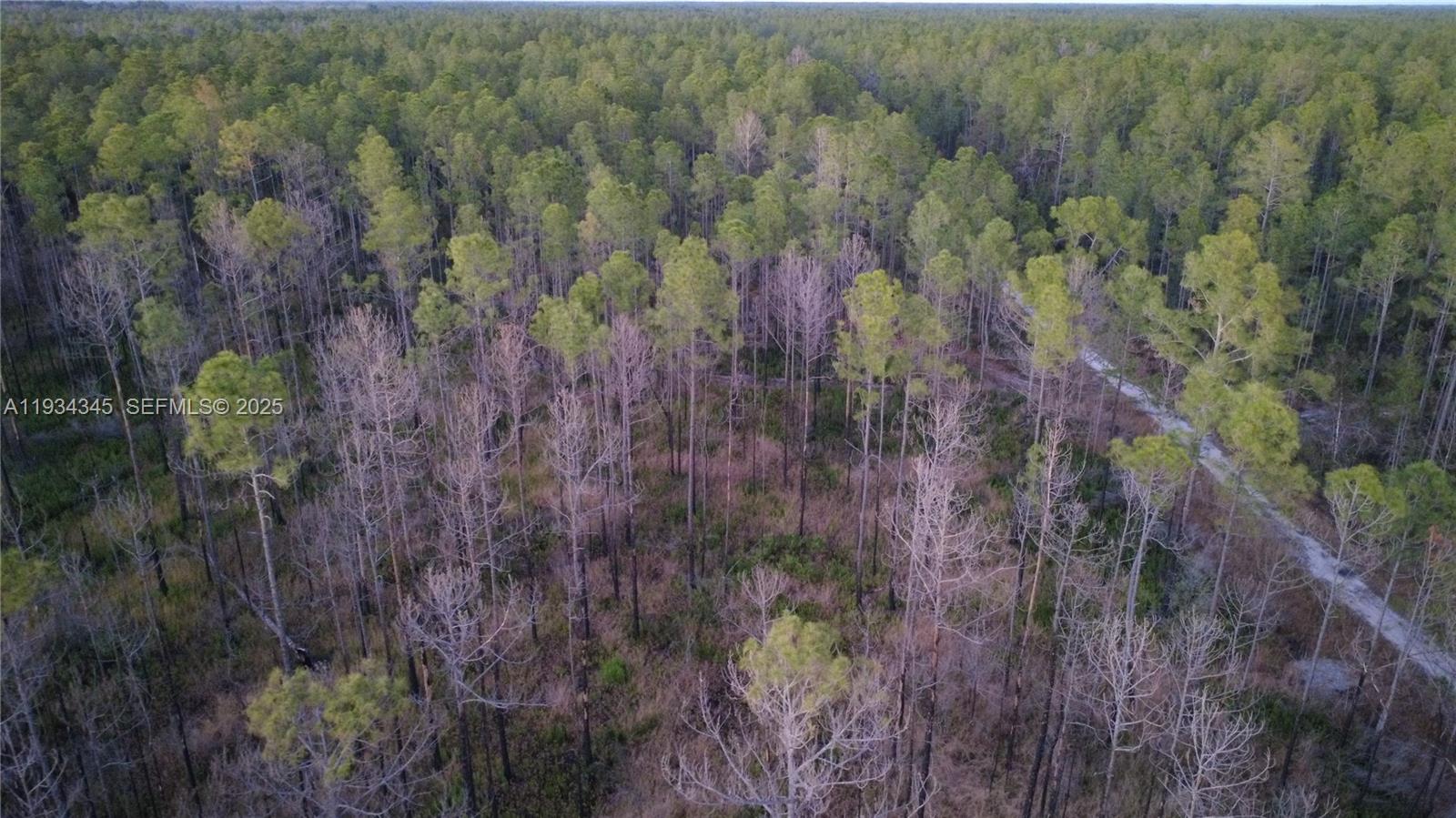 Guzman Ave Other, FL 32145