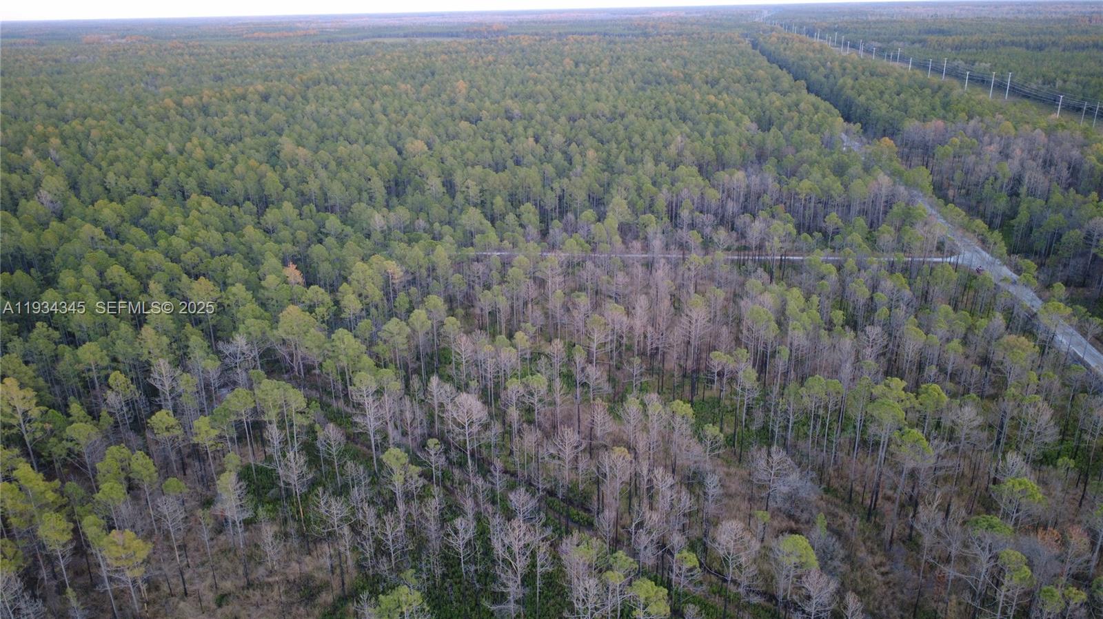 Guzman Ave Other, FL 32145