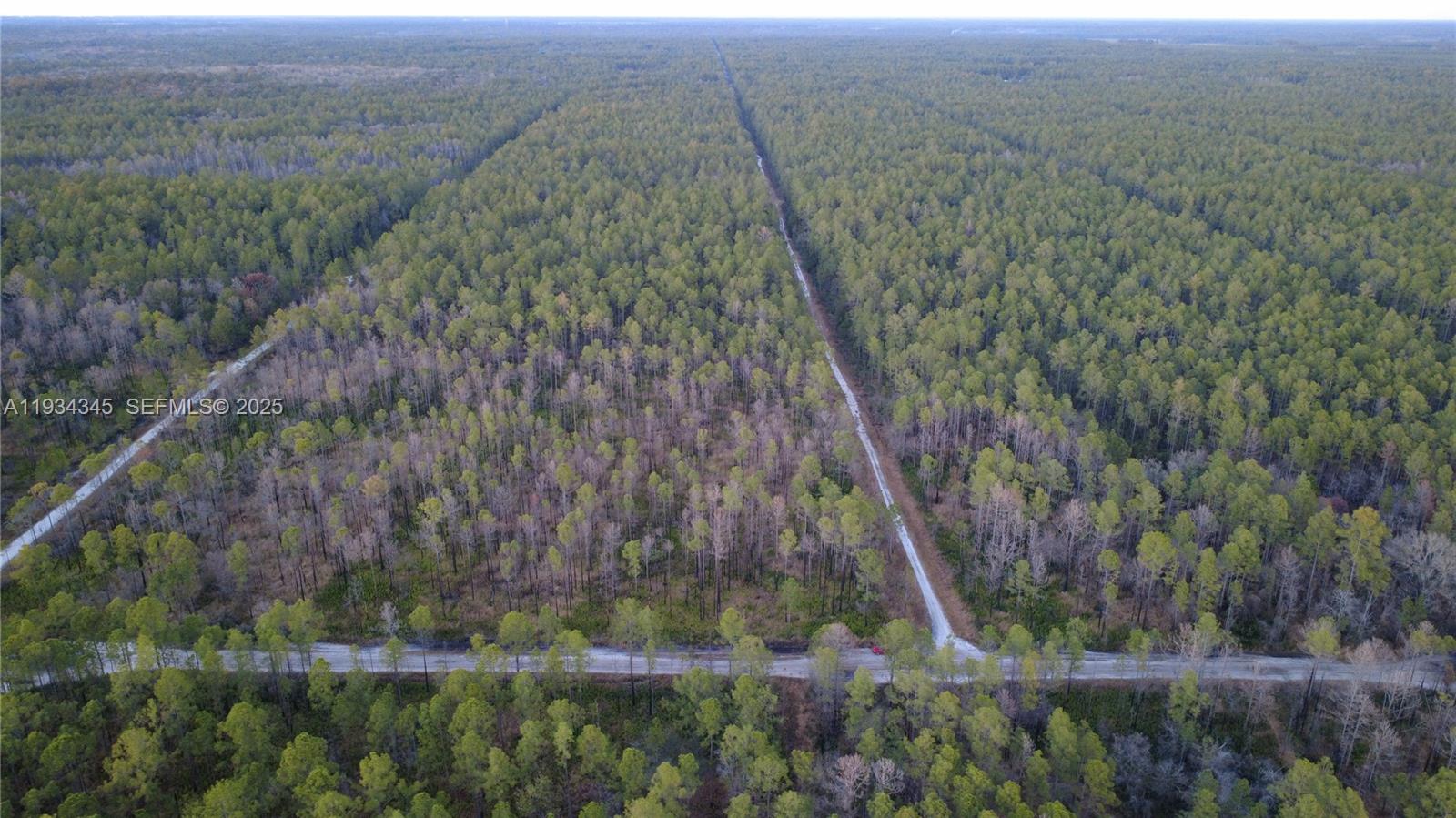 Guzman Ave Other, FL 32145