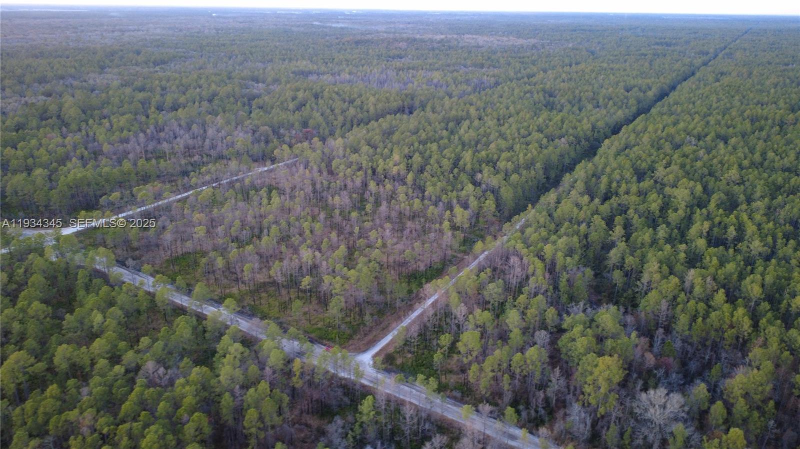 Guzman Ave Other, FL 32145