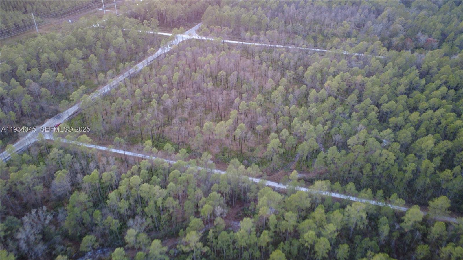 Guzman Ave Other, FL 32145