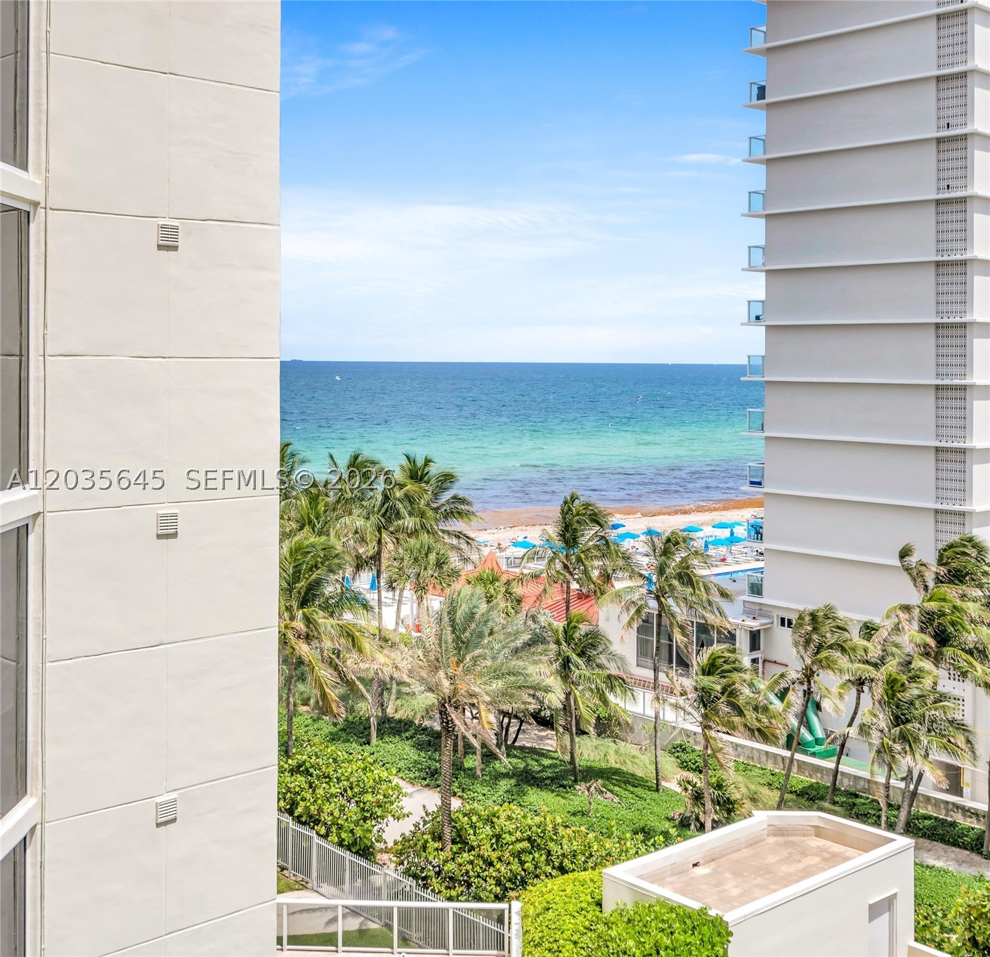 image Ocean One8