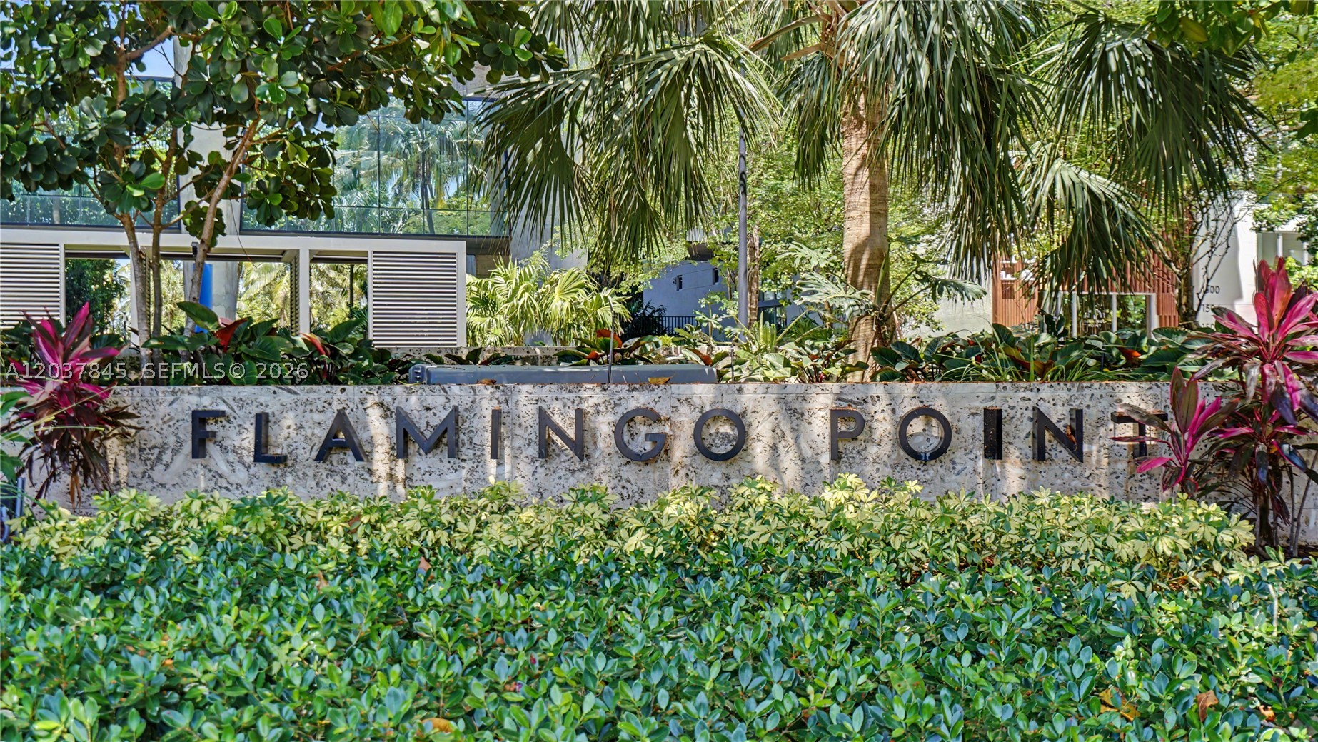 image Flamingo South Beach19