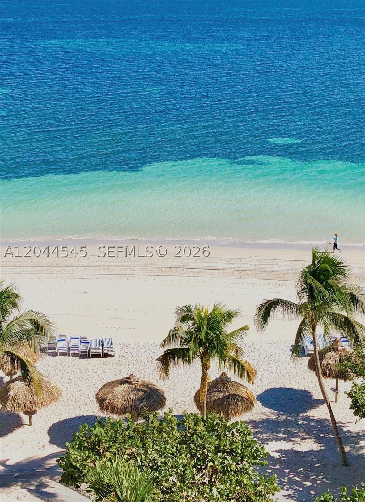 image Towers of Key Biscayne45