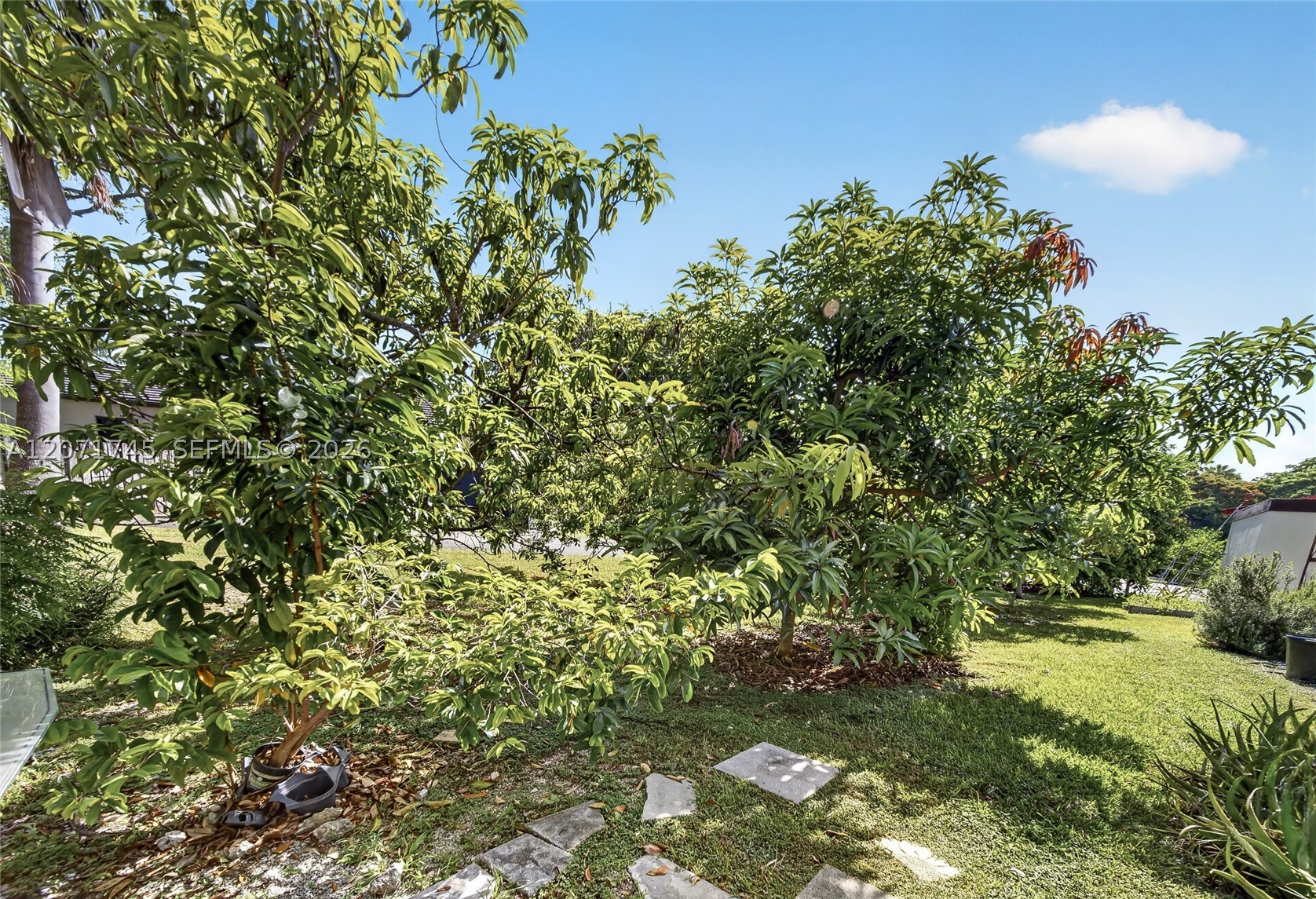 17711 SW 81st Ct Palmetto Bay, FL 33157