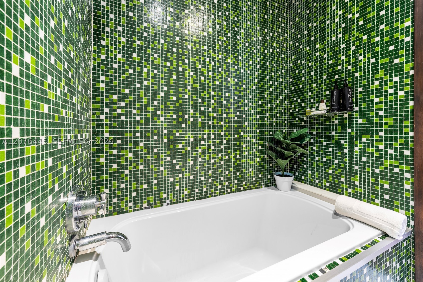 1606 S Bayshore Dr #1606 Miami, FL 33133